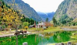 云南雨崩村爆料案件最新,真相揭开，疑云重重！