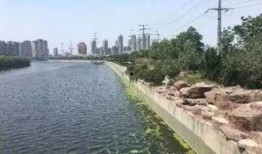 滕州小清河跳河最新爆料,最新爆料揭示惊人真相！”