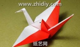 千纸鹤最新爆料视频大全,精彩瞬间尽收眼底