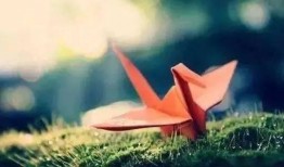 千纸鹤最新爆料视频大全,精彩瞬间尽收眼底