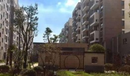 武宁新闻爆料热线最新,最新突发事件现场直击！