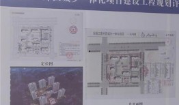 最新违法强拆爆料信息查询