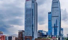 崇阳最新爆料消息今天封城了,紧急封城，最新动态揭秘