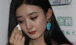 赵丽颖新数据最新爆料,演艺事业再攀高峰