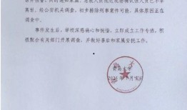 青岛大学最新爆料,揭秘校园新动态与重大改革举措