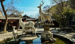 白鹿原景区最新爆料,探秘历史遗迹，体验文化盛宴