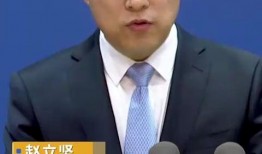 外交部最新爆料消息,揭秘国际风云变幻背后的真相！”
