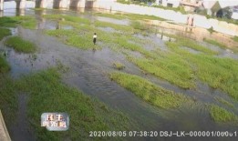 滕州小清河跳河最新爆料,最新爆料揭示惊人真相！”