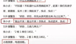云南禄劝最新爆料案件,惊天谜团揭开序幕