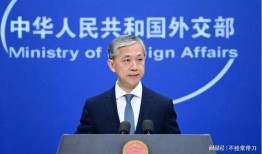 外交部最新爆料消息,揭秘国际风云变幻背后的真相！”