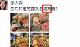 富贵花最新爆料,揭秘娱乐圈背后的惊人真相