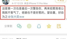 蒋凡张大奕最新爆料微博,揭秘网红夫妇背后的惊人真相