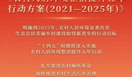 2025年最新活动爆料,最新活动爆料抢先看！