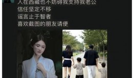 小杨嫂最新爆料,揭秘娱乐圈惊人内幕