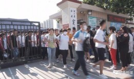 沧县爆料最新新闻,聚焦民生热点，揭示社会现象