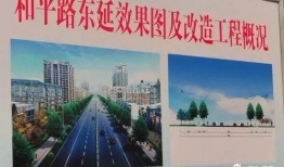 安丘最新爆料,揭秘背后惊人真相