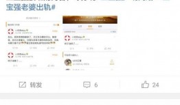 马蓉方最新爆料,揭秘王宝强婚姻内幕惊人真相